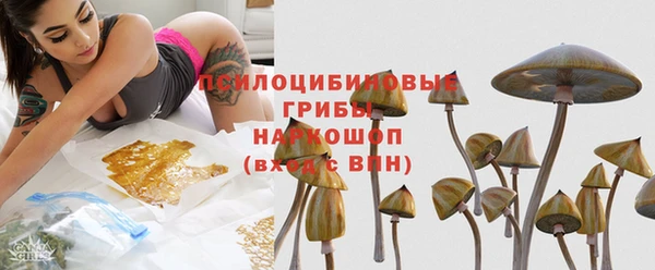 соль ск Алексин