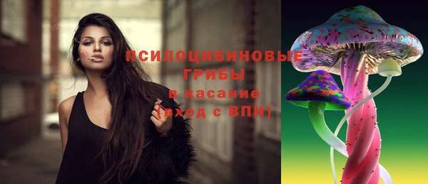 СК Абдулино