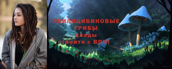 СК Абинск