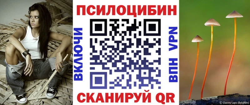Галлюциногенные грибы мицелий  продажа наркотиков  Козловка 